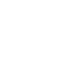 Global Partnership, Professional Service