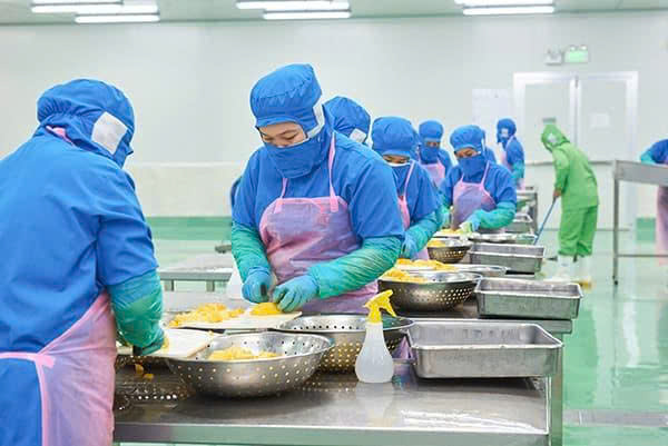 Business activity photo 3