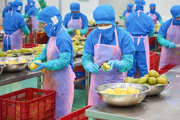 Business activity photo 10